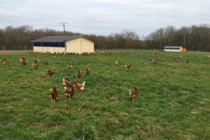 La ferme bio de marigny